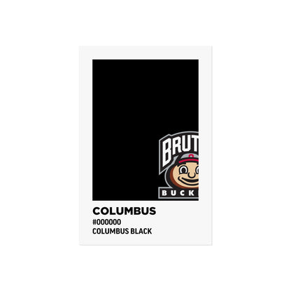 Ohio State University Team Paint Swatch - Brutus - Columbus Black