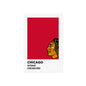 Chicago Professional Hockey Team Paint Swatch - Chicago Red