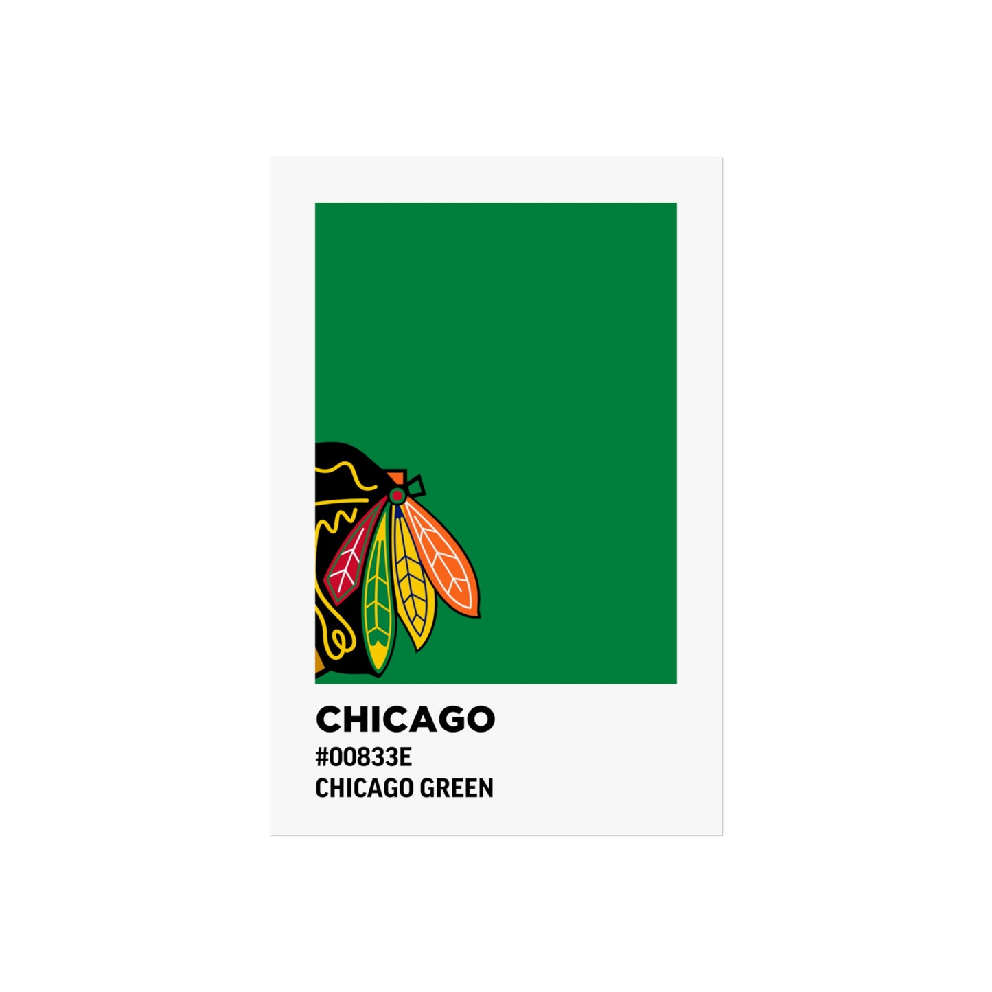 Chicago Professional Hockey Team Paint Swatch - Chicago Feathers Green