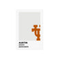 University of Texas Team Paint Swatch - Austin White