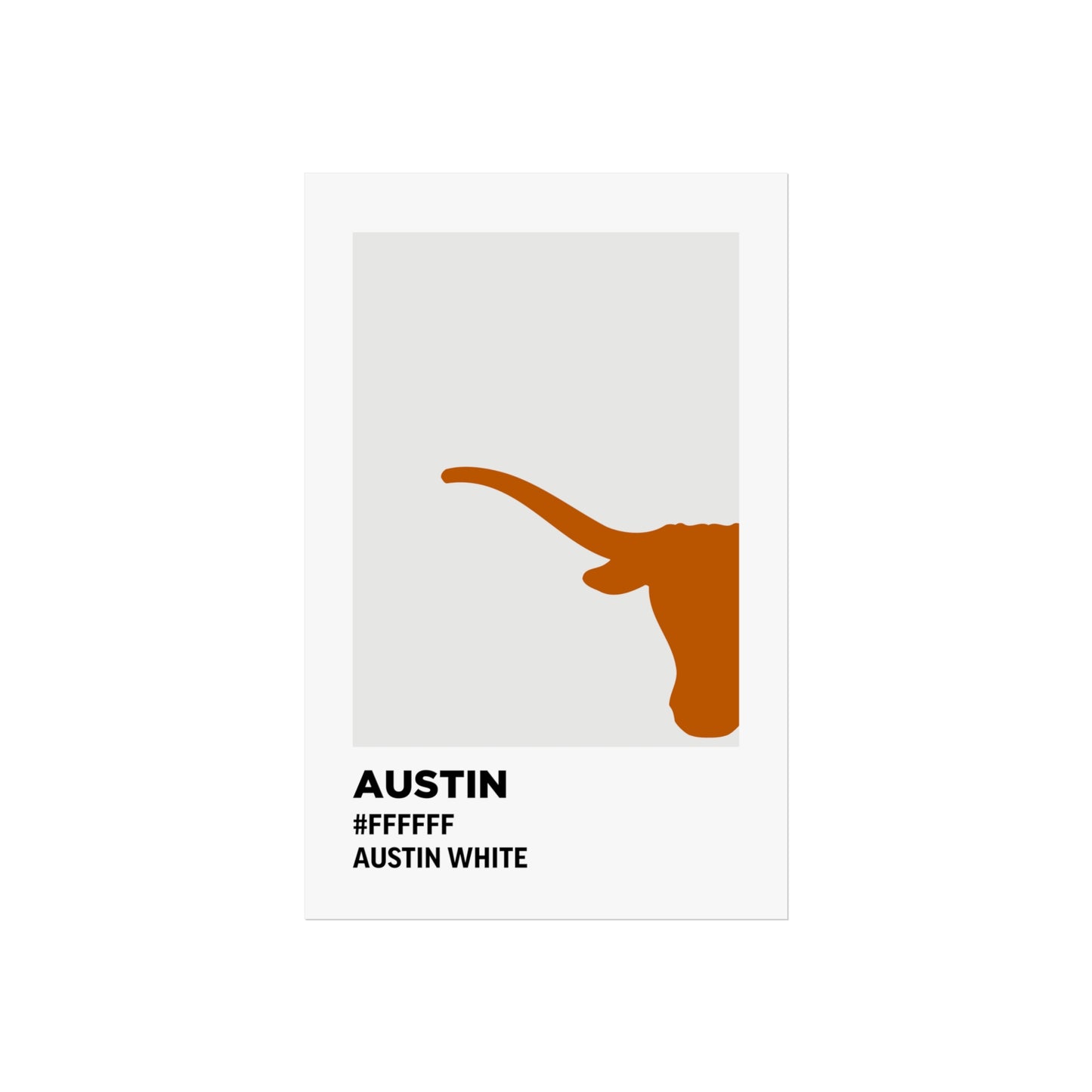 University of Texas Team Paint Swatch - Austin White