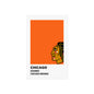 Chicago Professional Hockey Team Paint Swatch - Chicago Orange