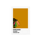 Chicago Professional Hockey Team Paint Swatch - Chicago Feathers Gold