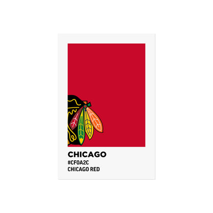 Chicago Professional Hockey Team Paint Swatch - Chicago Feathers Red