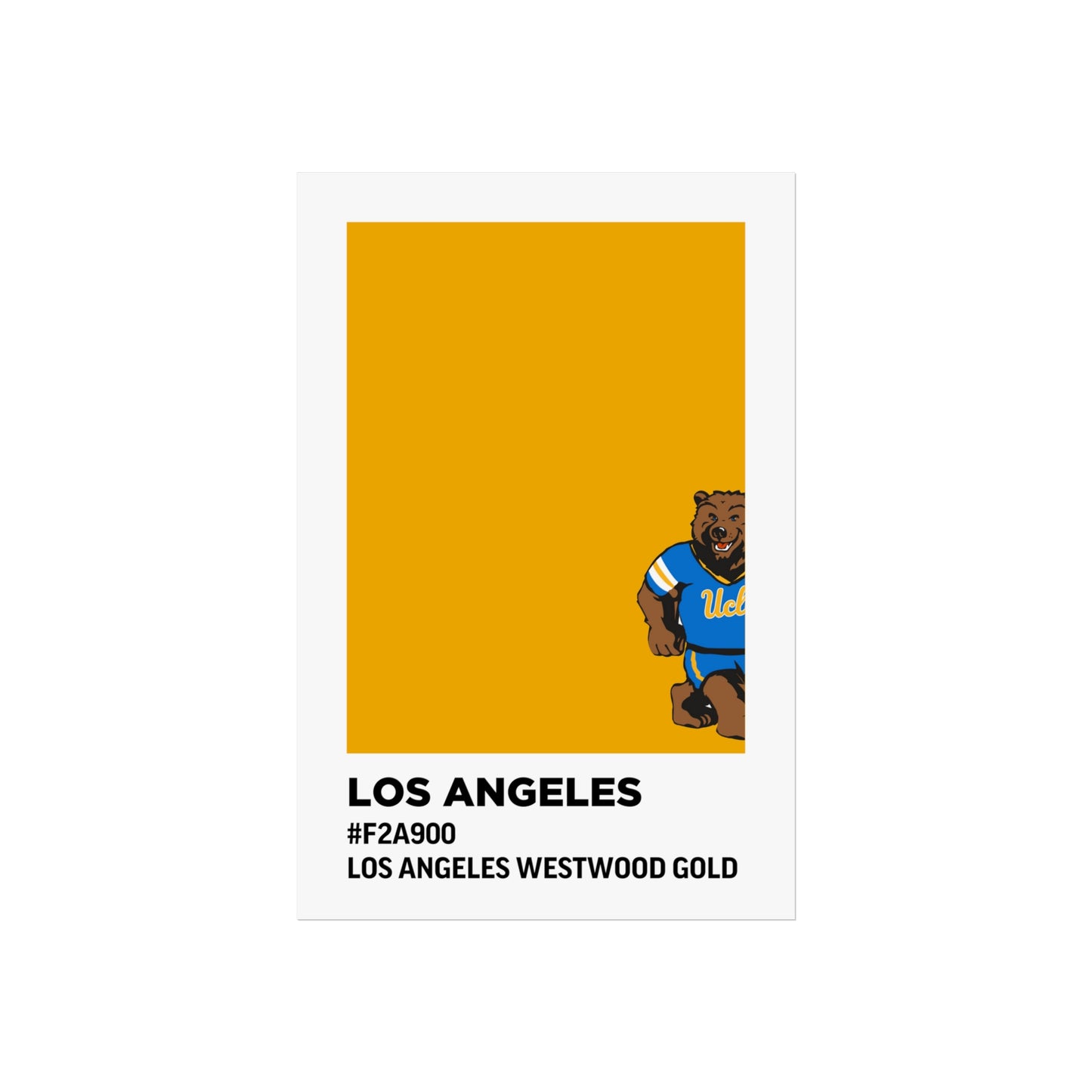 University of California Los Angeles Team Paint Swatch - Westwood Gold