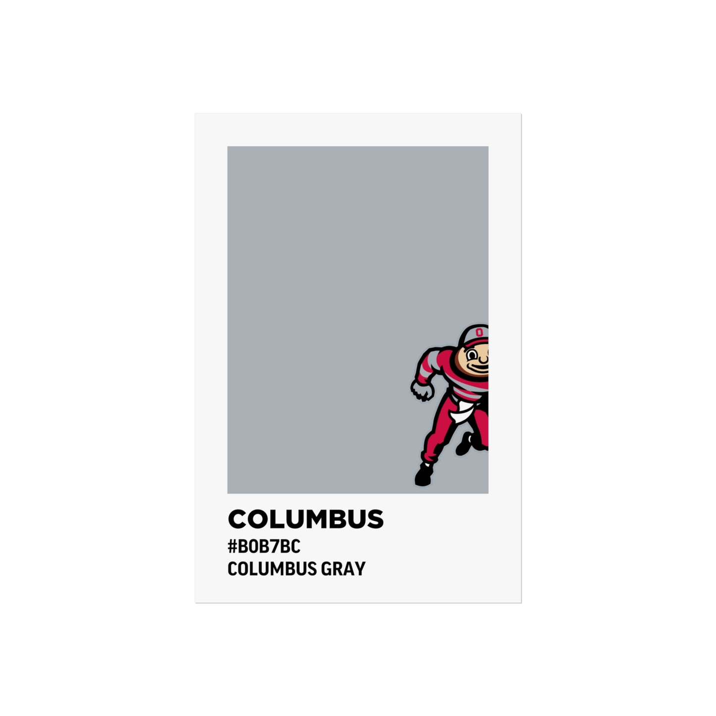 Ohio State University Team Paint Swatch - Brutus - Columbus Gray