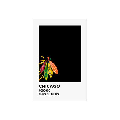 Chicago Professional Hockey Team Paint Swatch - Chicago Feathers Black