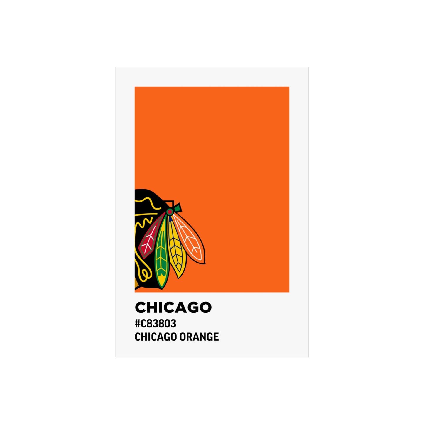 Chicago Professional Hockey Team Paint Swatch - Chicago Feathers Orange