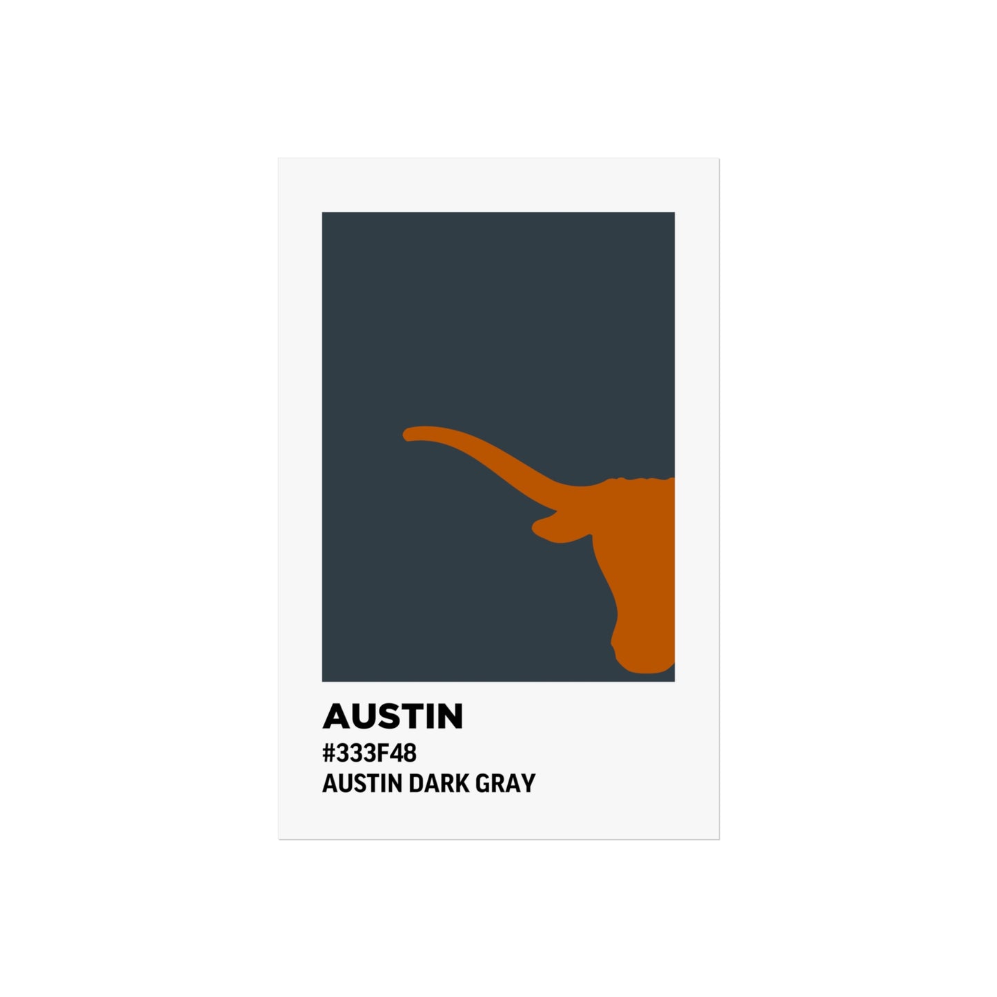 University of Texas Team Paint Swatch - Austin Dark Gray