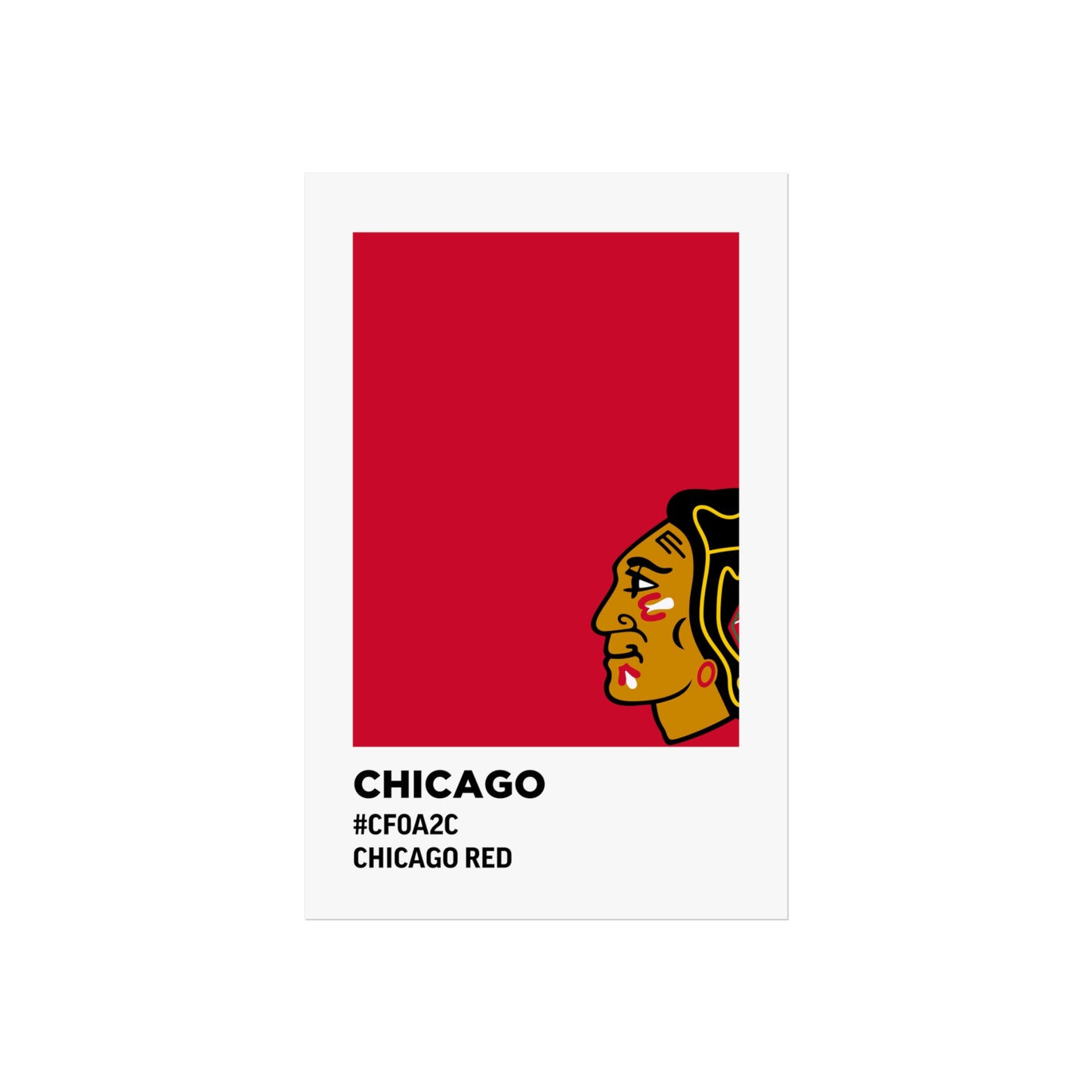 Chicago Professional Hockey Team Paint Swatch - Chicago Red