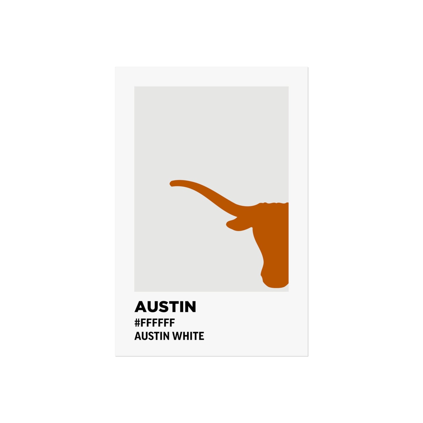 University of Texas Team Paint Swatch - Austin White