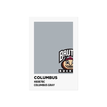 Ohio State University Team Paint Swatch - Brutus - Columbus Gray