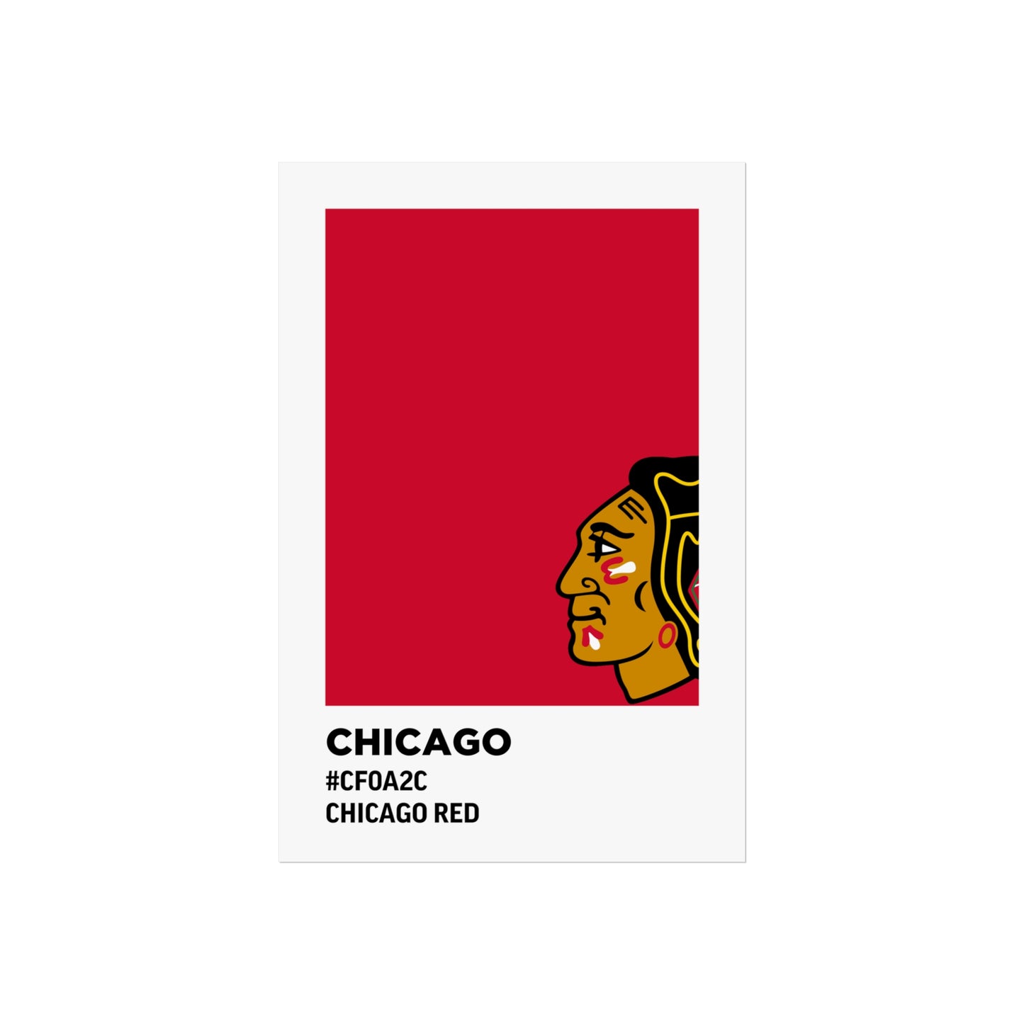 Chicago Professional Hockey Team Paint Swatch - Chicago Red